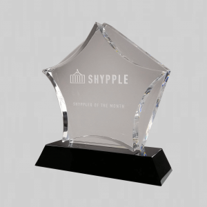 Citaat Instrueren systeem Award of Trofee Bestellen: Vanaf €13,5 tot €185 | Exclusieve Kwaliteit